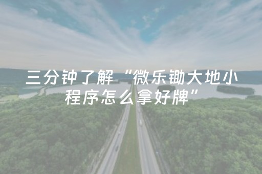 实测辅助“微乐湖南麻将插件购买（专用辅牌神器免安装）