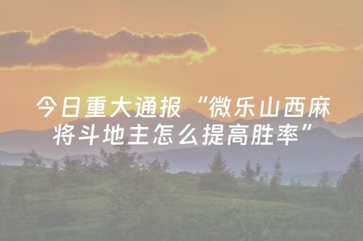 实测辅助“微信上微乐麻将怎么提高胜率（专用辅牌神器免安装）