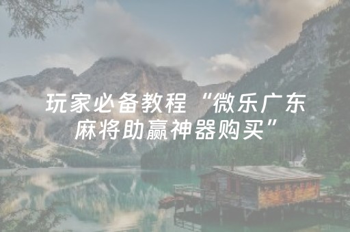 教程辅助“微乐陕西麻将插件免费（专用辅牌神器免安装）