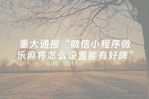 玩家必看攻略“中至手机麻将助赢神器（专用辅牌神器免安装）