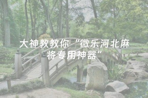 教程辅助“微乐天津麻将挂件神器（助赢神器通用版）
