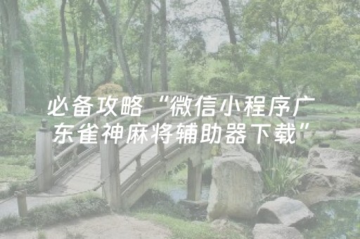 实测辅助“小程序广东雀神辅助器（专用辅牌神器免安装）