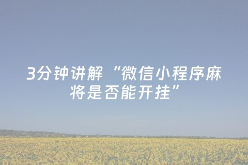 实测教程“手机麻将挂件（专用辅牌神器免安装）