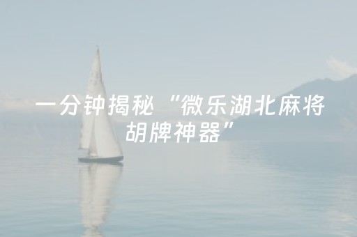 玩家必看攻略“微乐麻将挂先试用后付款（助赢神器通用版）