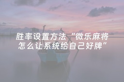 分享辅助“微乐辽宁麻将助赢神器购买（助赢神器通用版）