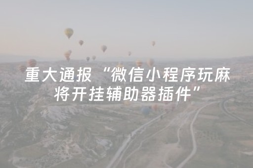 玩家实测“手机打牌软件神器设备（专用辅牌神器免安装）