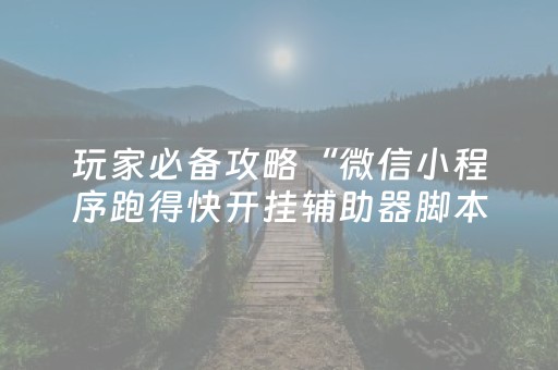 玩家必看教程！“牵手跑胡子外挂”（详细辅助教程）-哔哩哔哩