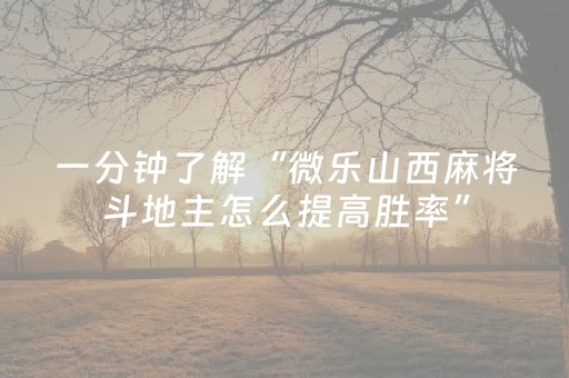 必看教程“微乐麻将小程序辅牌器（专用辅牌神器免安装）