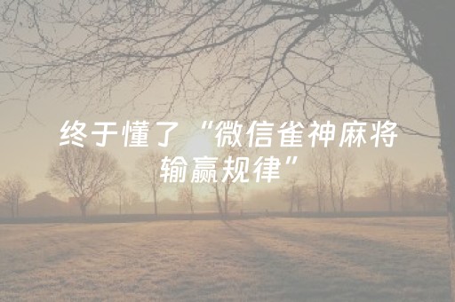 必看教程“手机十三道有什么技巧（专用辅牌神器免安装）