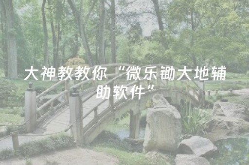 我来教大家“微乐辽宁麻将专用神器（专用辅牌神器免安装）