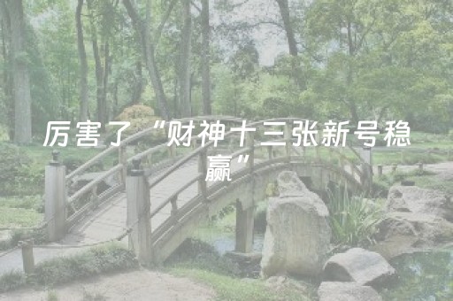 实测分享“微乐胜率设置代码在哪里设置（助赢神器通用版）