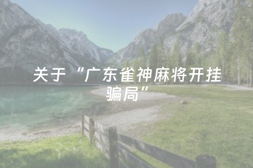 玩家必看攻略“家乡大贰辅助器（助赢神器通用版）