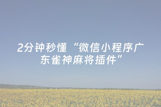 必看教程“九九麻将软挂神器（助赢神器通用版）