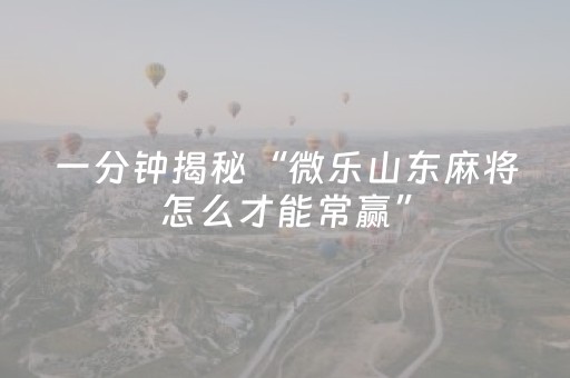 实测辅助“微乐山东麻将助手神器（助赢神器通用版）