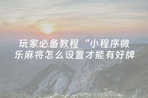 终于发现“微乐陕西麻将挖坑专用神器（专用辅牌神器免安装）