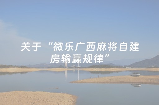 实测教程“微乐麻将插件胜率设置（专用辅牌神器免安装）