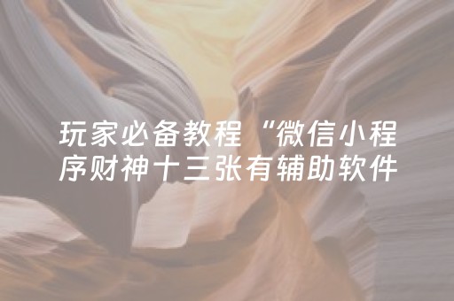 玩家必备教程“微信小程序财神十三张有辅助软件吗”（开挂辅助脚本)