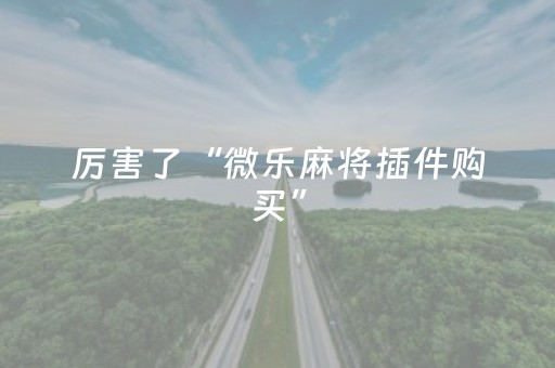 厉害了“微乐麻将插件购买”（通用挂软件多少钱)