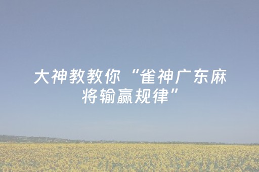 大神教教你“雀神广东麻将输赢规律”（外辅工具)