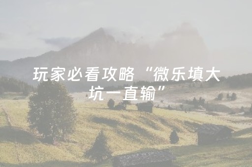 玩家必看攻略“微乐填大坑一直输”（外辅工具)