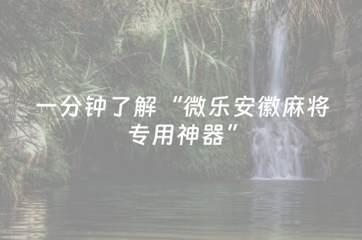 实测结果“雀神麻将软挂神器（助赢神器通用版）