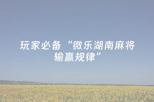 玩家必备“微乐湖南麻将输赢规律”（软挂神器)