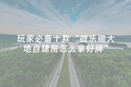 玩家必备十款“微乐锄大地自建房怎么拿好牌”（开挂神器下载)
