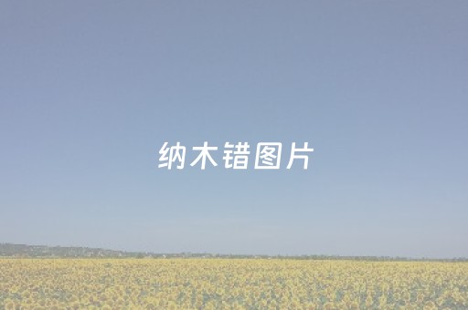 纳木错图片（纳木错图片大全）