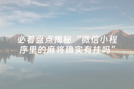 实测教程“微友麻将铺牌器（助赢神器通用版）