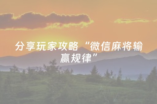 分享玩家攻略“微信麻将输赢规律”（开挂辅助插件)