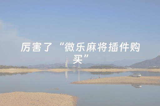 厉害了“微乐麻将插件购买”（透明器教程)