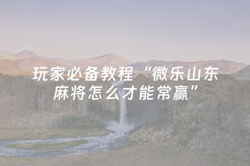 玩家必备教程“微乐山东麻将怎么才能常赢”（开挂辅助器插件)