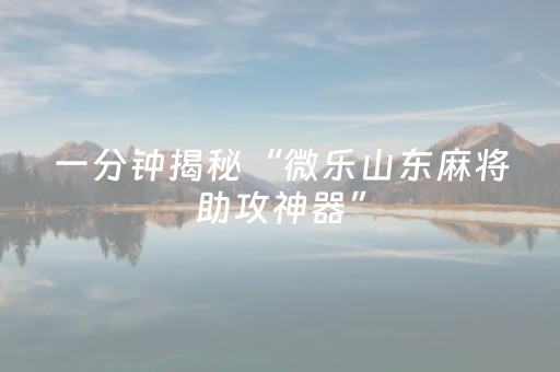 玩家必备教程“微乐麻将专用神器（助赢神器通用版）