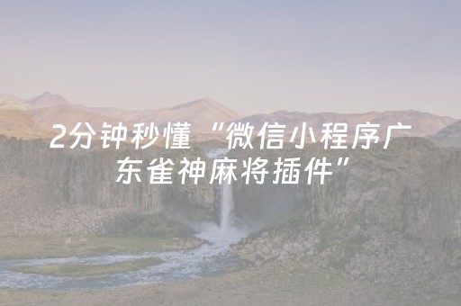 终于发现“程序麻将机最简单的识别方法（专用辅牌神器免安装）