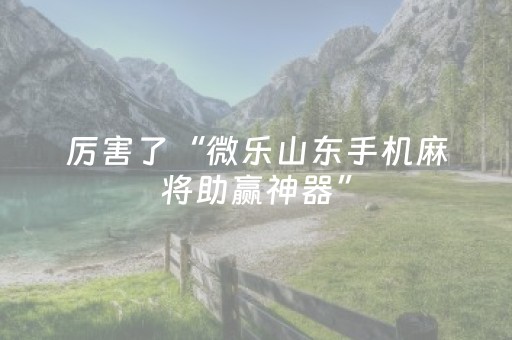 终于发现了“手机雀神麻将软挂神器（助赢神器通用版）