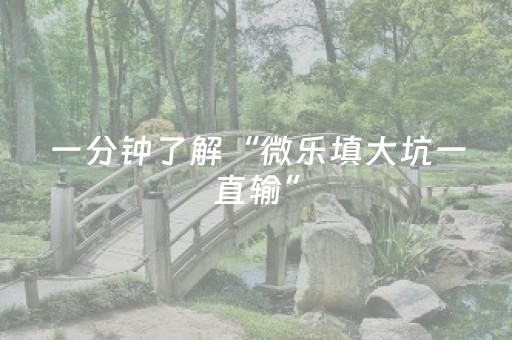 分享辅助“手机麻将神器通用（专用辅牌神器免安装）