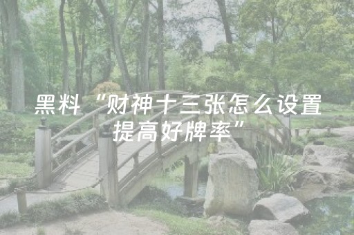 玩家实测“胡乐麻将软挂神器（专用辅牌神器免安装）