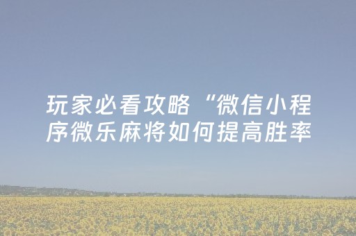 玩家必看攻略“微信小程序微乐麻将如何提高胜率”（挂件神器)