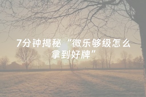 玩家必备教程“哈灵杭州麻将技巧秘籍（专用辅牌神器免安装）