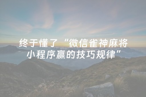 教程辅助“手机跑得快黑科技软件（专用辅牌神器免安装）