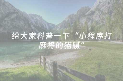 给大家科普一下“小程序打麻将的猫腻”（怎么让系统给你发好牌)