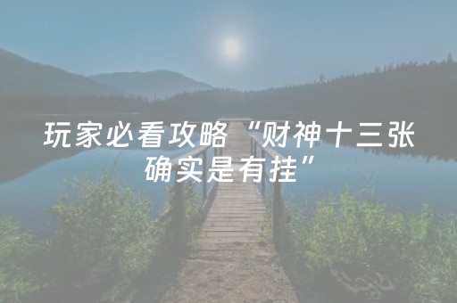 实测结果“手机十三水辅助器（专用辅牌神器免安装）