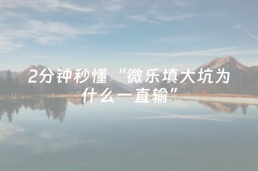 2分钟秒懂“微乐填大坑为什么一直输”（是否能开挂)