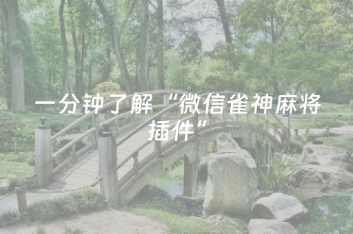 一分钟了解“微信雀神麻将插件”（辅助器插件)