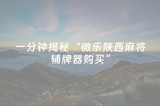 终于发现“微友麻将软挂神器（专用辅牌神器免安装）