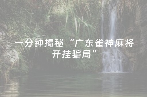 一分钟揭秘“广东雀神麻将开挂骗局”（胜率到哪调)