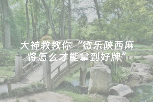 大神教教你“微乐陕西麻将怎么才能拿到好牌”（为什么有人一直赢)