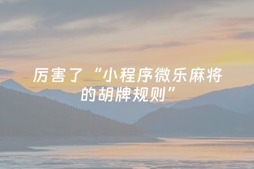 厉害了“小程序微乐麻将的胡牌规则”（透明挂辅助器)