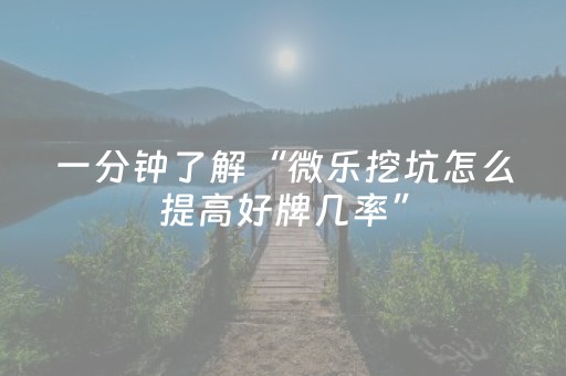 一分钟了解“微乐挖坑怎么提高好牌几率”（专用神器下载)