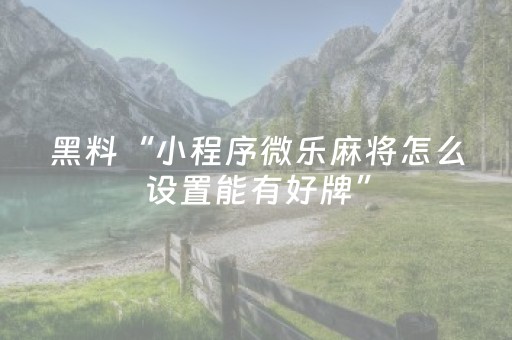 实测分析“中至小程序免费”（详细开挂教程）-哔哩哔哩
